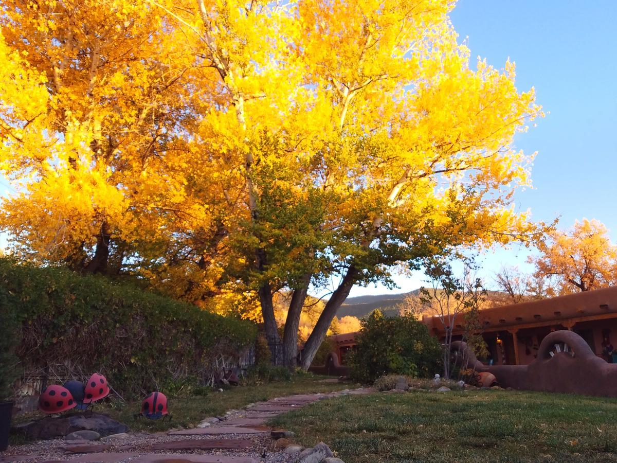 Inn On The Rio Taos Buitenkant foto
